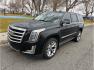 2019 No Color /No Color Cadillac Escalade (1GYS4CKJ9KR) with an V8, 6.2 Liter engine, Automatic, 10-Spd w/Overdrive transmission, located at 607 W Columbia Drive, Kennewick, WA, 99336, (509) 987-1069, 46.216743, -119.126404 - Photo#0