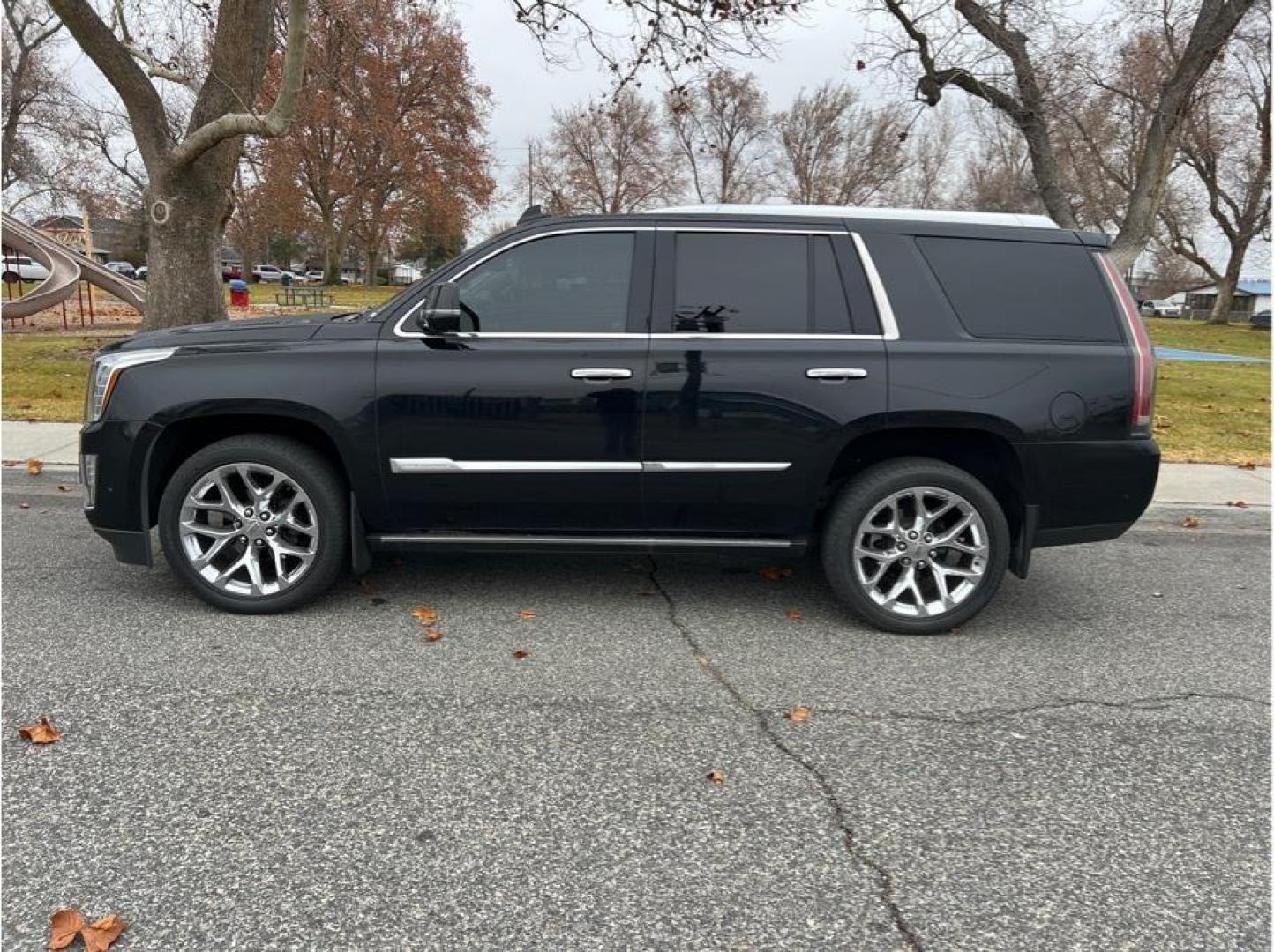 2019 No Color /No Color Cadillac Escalade (1GYS4CKJ9KR) with an V8, 6.2 Liter engine, Automatic, 10-Spd w/Overdrive transmission, located at 607 W Columbia Drive, Kennewick, WA, 99336, (509) 987-1069, 46.216743, -119.126404 - Photo#7