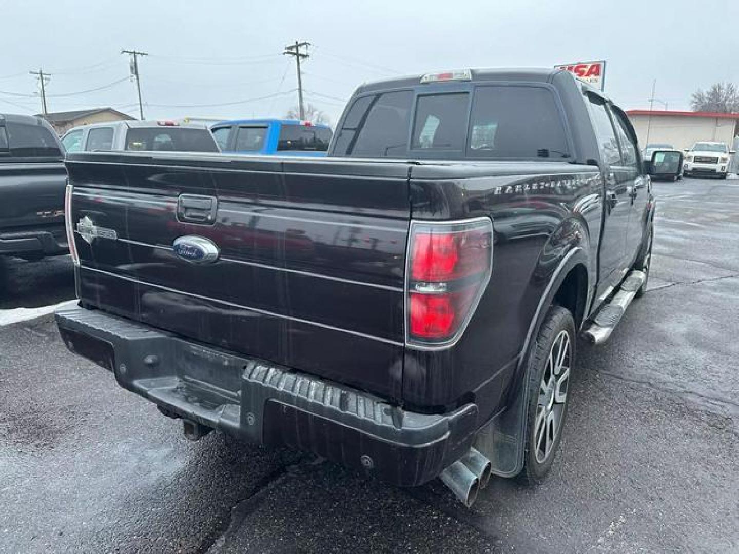 2010 No Color /No Color Ford F150 SuperCrew Cab Harley-Davidson Pickup 4D 5 1/2 ft (1FTFW1EV9AF) with an V8, Flex Fuel, 5.4L engine, Automatic, 4-Spd w/Overdrive transmission, located at 607 W Columbia Drive, Kennewick, WA, 99336, (509) 987-1069, 46.216743, -119.126404 - Photo#4