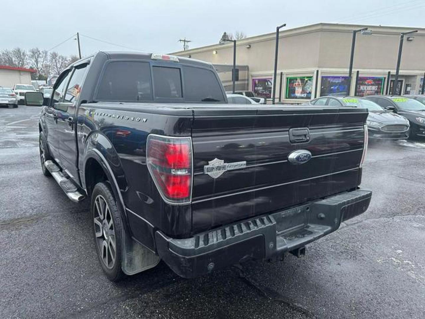 2010 No Color /No Color Ford F150 SuperCrew Cab Harley-Davidson Pickup 4D 5 1/2 ft (1FTFW1EV9AF) with an V8, Flex Fuel, 5.4L engine, Automatic, 4-Spd w/Overdrive transmission, located at 607 W Columbia Drive, Kennewick, WA, 99336, (509) 987-1069, 46.216743, -119.126404 - Photo#6