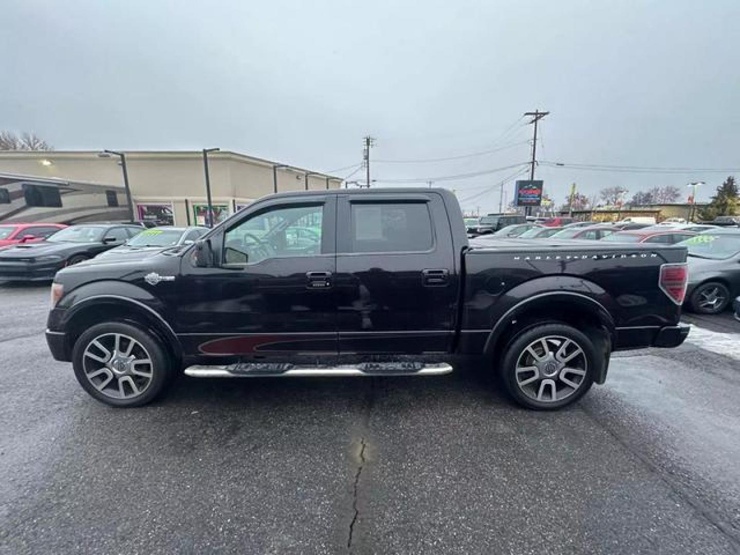 2010 No Color /No Color Ford F150 SuperCrew Cab Harley-Davidson Pickup 4D 5 1/2 ft (1FTFW1EV9AF) with an V8, Flex Fuel, 5.4L engine, Automatic, 4-Spd w/Overdrive transmission, located at 607 W Columbia Drive, Kennewick, WA, 99336, (509) 987-1069, 46.216743, -119.126404 - Photo#7