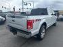 2016 Silver /No Color Ford F150 SuperCrew Cab XLT Pickup 4D 5 1/2 ft (1FTFW1EG1GK) with an V6, EcoBoost, TT, 3.5L engine, Automatic, 6-Spd transmission, located at 607 W Columbia Drive, Kennewick, WA, 99336, (509) 987-1069, 46.216743, -119.126404 - Photo#4