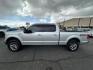 2016 Silver /No Color Ford F150 SuperCrew Cab XLT Pickup 4D 5 1/2 ft (1FTFW1EG1GK) with an V6, EcoBoost, TT, 3.5L engine, Automatic, 6-Spd transmission, located at 607 W Columbia Drive, Kennewick, WA, 99336, (509) 987-1069, 46.216743, -119.126404 - Photo#7