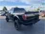 2014 Black /No Color Ford F150 SuperCrew Cab (1FTFW1ET4EF) with an V6, EcoBoost, 3.5L engine, Automatic, 6-Spd transmission, located at 607 W Columbia Drive, Kennewick, WA, 99336, (509) 987-1069, 46.216743, -119.126404 - Photo#2