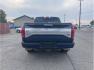 2015 Blue /No Color Ford F150 SuperCrew Cab (1FTEW1EG9FF) with an V6, EcoBoost, TT, 3.5L engine, Automatic, 6-Spd transmission, located at 607 W Columbia Drive, Kennewick, WA, 99336, (509) 987-1069, 46.216743, -119.126404 - Photo#5