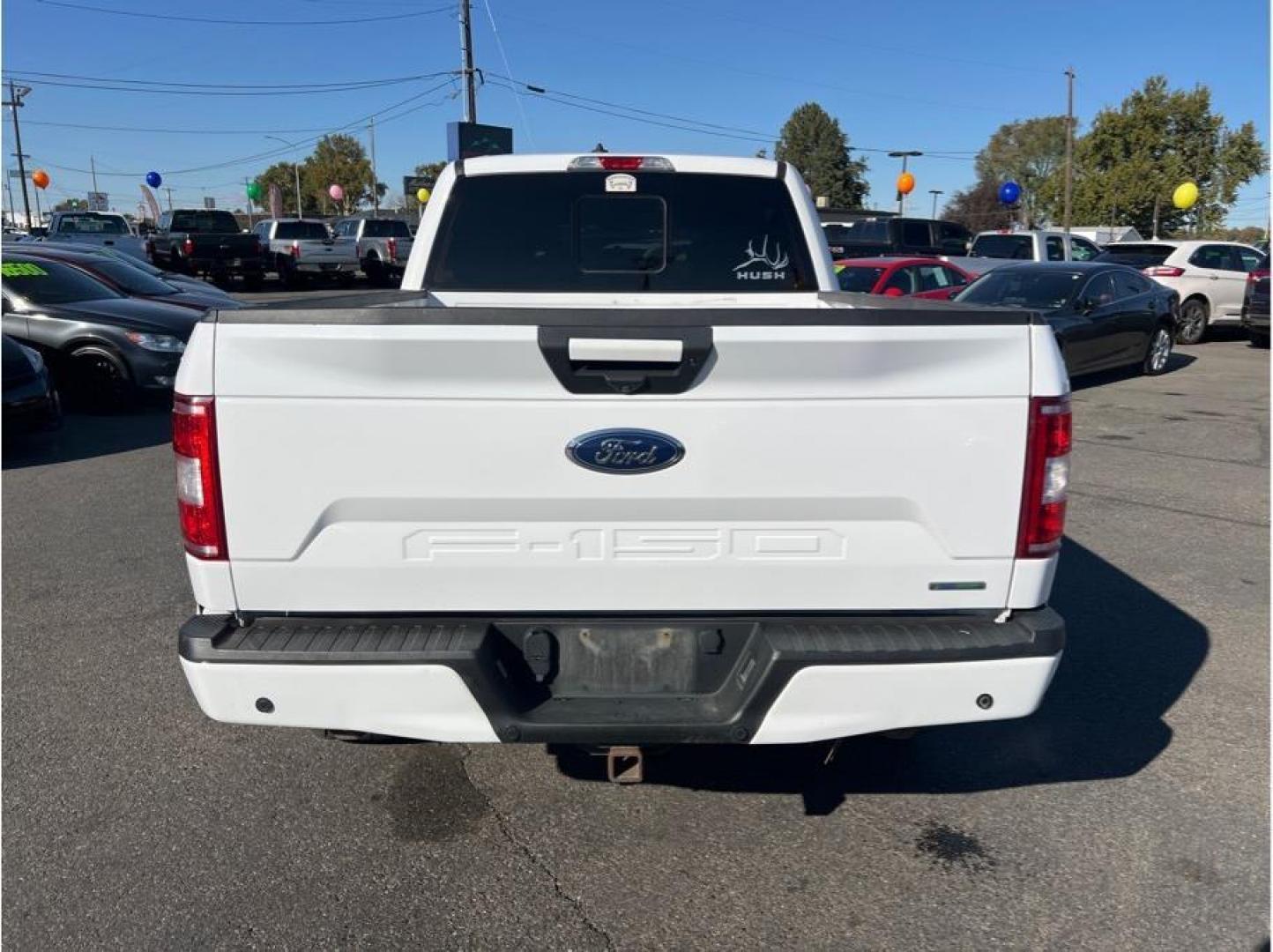 2018 White /No Color Ford F150 SuperCrew Cab (1FTFW1EG9JK) with an V6, EcoBoost, TT, 3.5L engine, Auto, 10-Spd Spt Mode transmission, located at 607 W Columbia Drive, Kennewick, WA, 99336, (509) 987-1069, 46.216743, -119.126404 - Photo#5