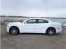 2014 White /No Color Dodge Charger (2C3CDXHG9EH) with an V6, 3.6 Liter engine, Automatic, 8-Spd transmission, located at 607 W Columbia Drive, Kennewick, WA, 99336, (509) 987-1069, 46.216743, -119.126404 - Photo#1