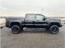 2015 Black /No Color GMC Sierra 1500 Crew Cab (3GTP1VEC9FG) with an V8, EcoTec3, 5.3 Liter engine, Auto, 6-Spd HD Overdrive transmission, located at 607 W Columbia Drive, Kennewick, WA, 99336, (509) 987-1069, 46.216743, -119.126404 - Photo#11