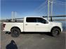 2016 White /No Color Ford F150 SuperCrew Cab (1FTEW1EG2GF) with an V6, EcoBoost, TT, 3.5L engine, Auto, 6-Spd SelShft transmission, located at 607 W Columbia Drive, Kennewick, WA, 99336, (509) 987-1069, 46.216743, -119.126404 - Photo#12